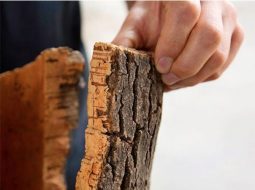Sustainable Cork